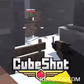 Juega a CUBESHOT IO gratis