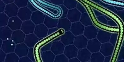 jugabilidad de GULPER .IO