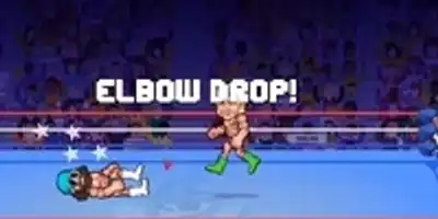 jugabilidad de WRESTLE BROS IO